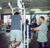 PAUSES.gif (16549 bytes)