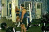 trainingtip1.jpg (23216 bytes)